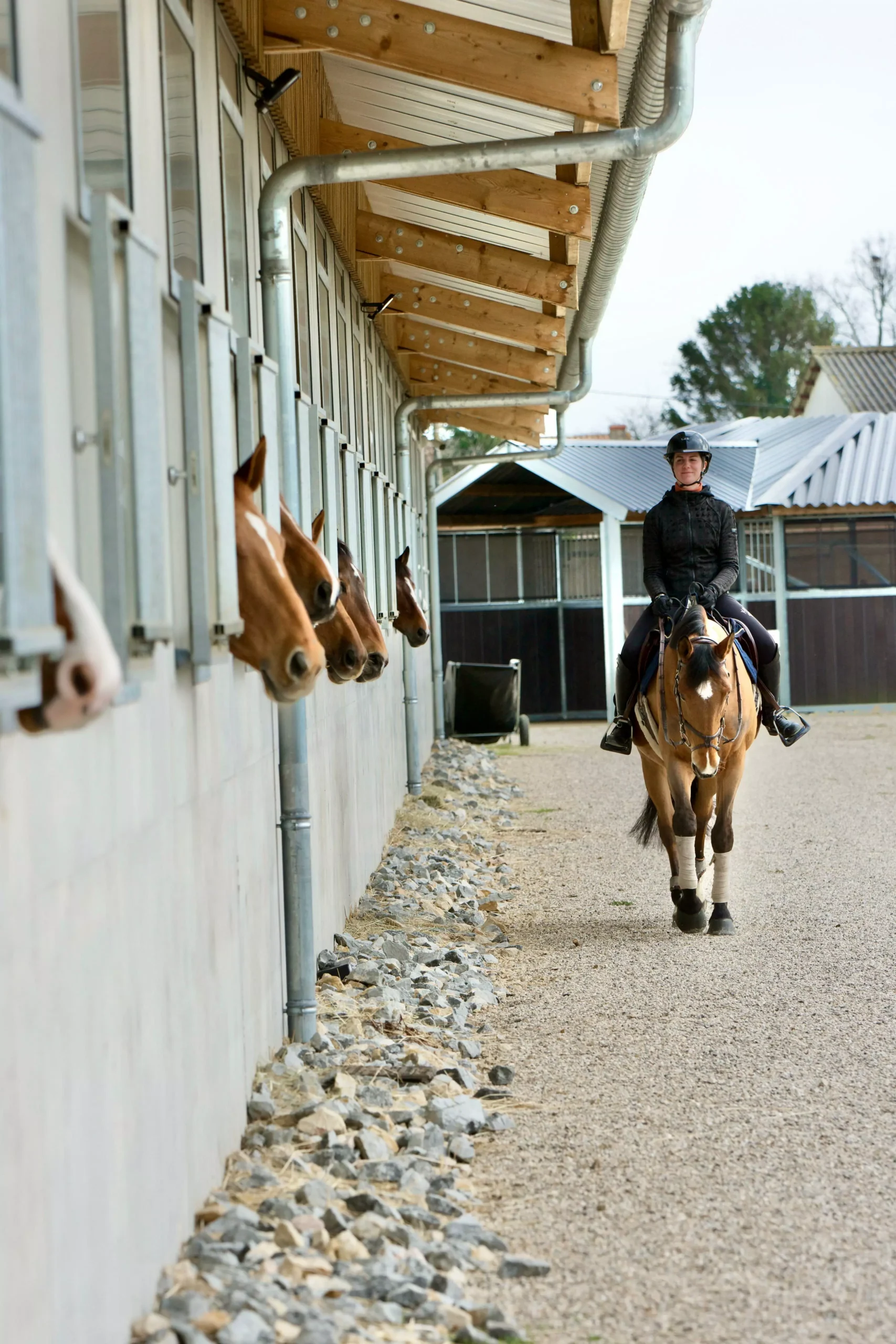 LS Jumping home slide