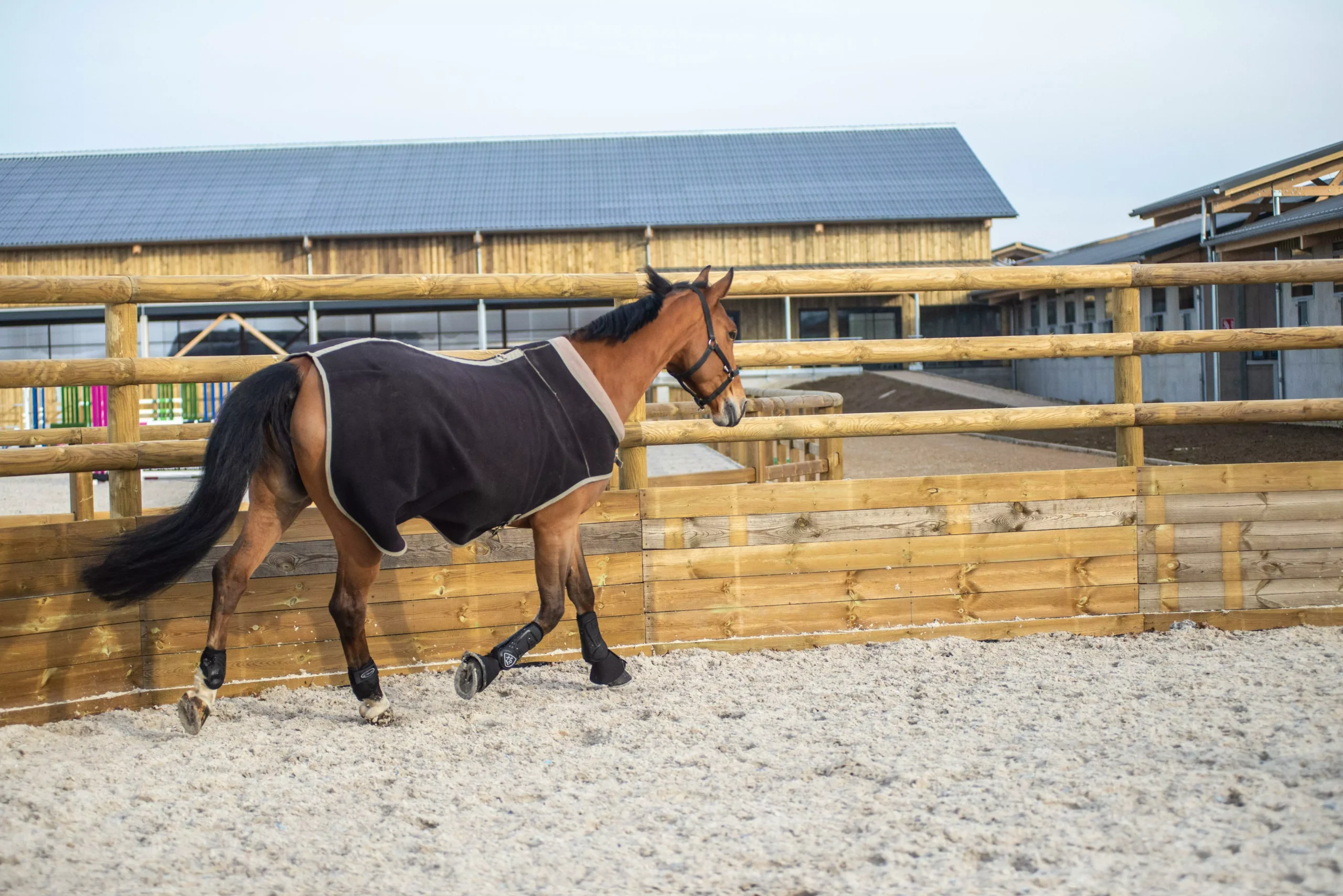 LS Jumping home slide