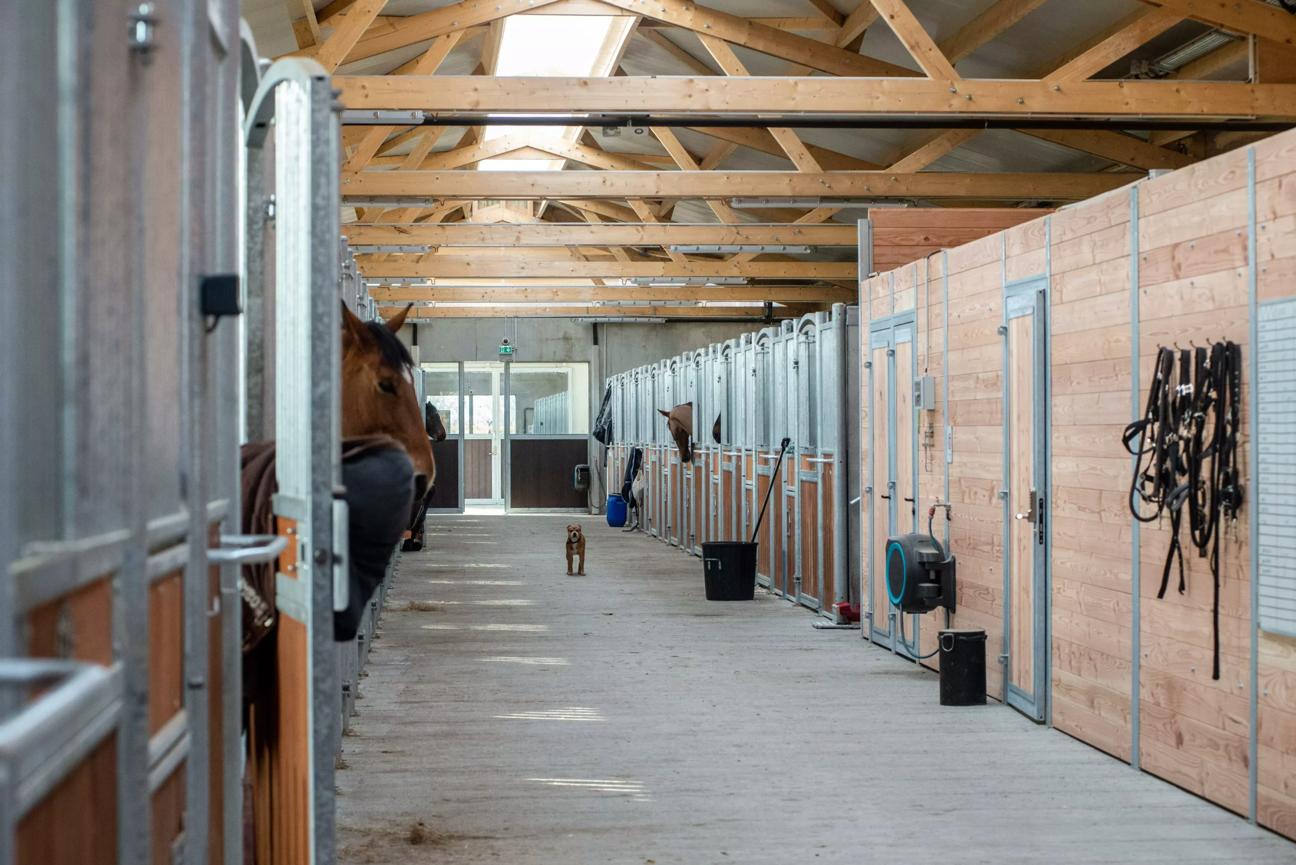 LS Jumping home slide