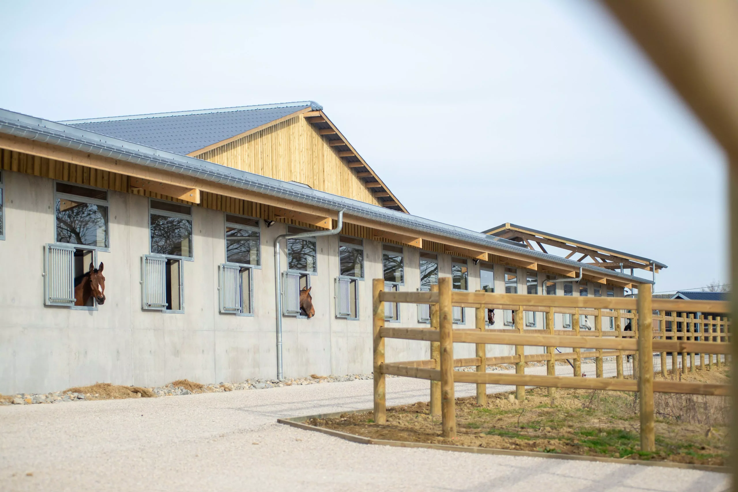 LS Jumping home slide