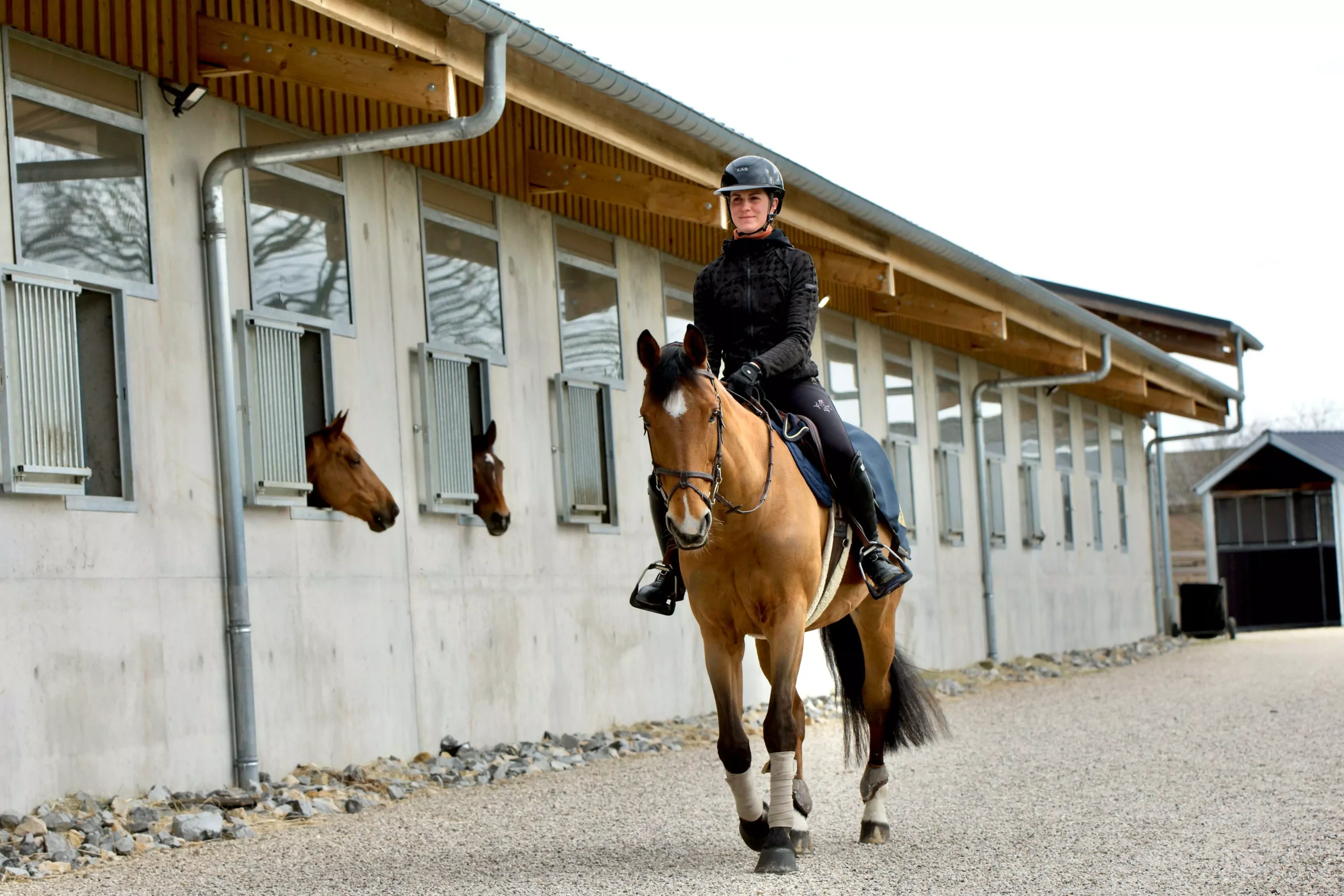 LS Jumping home slide